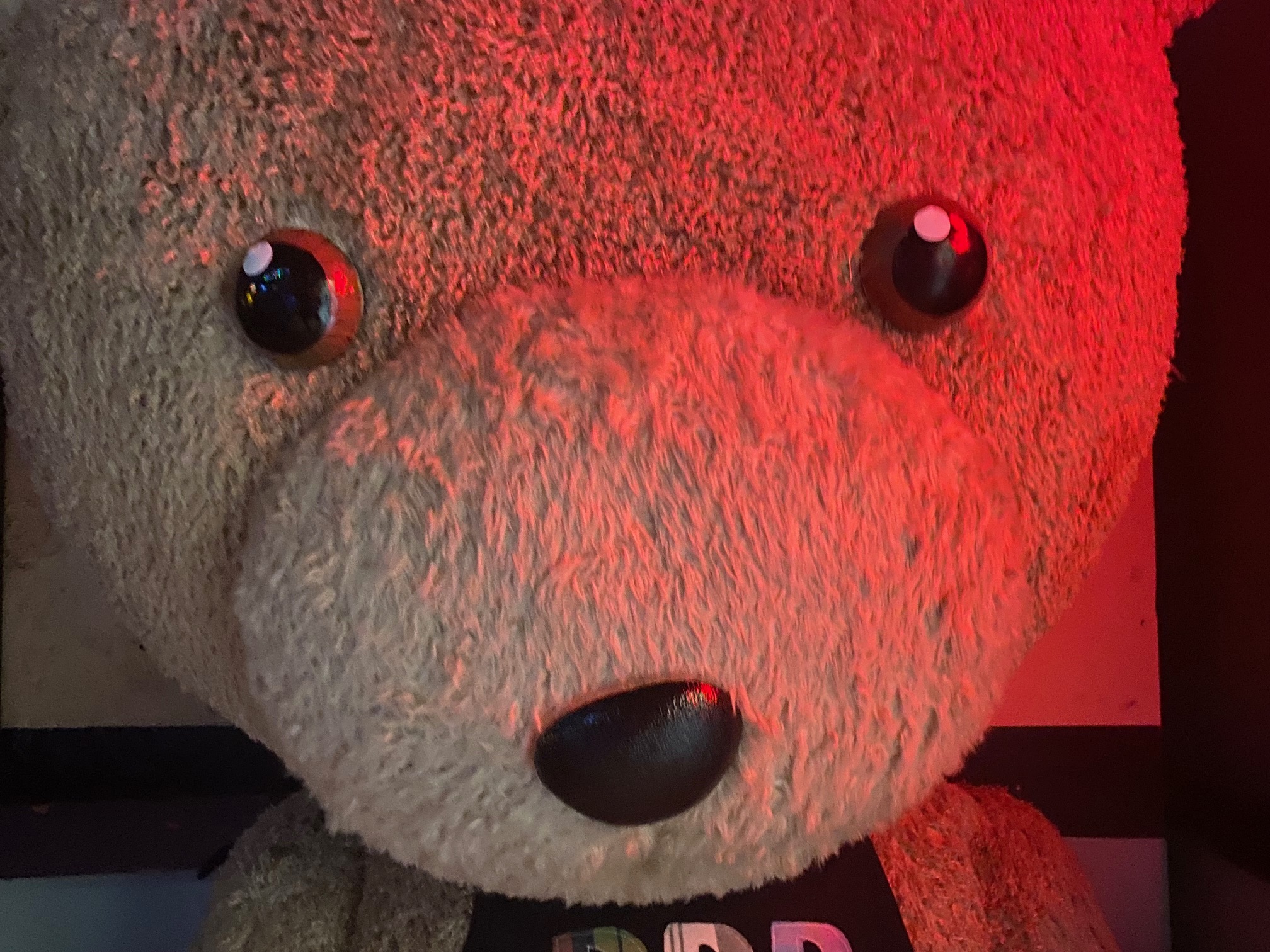 Oso mascota BBB