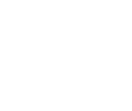 Bear Barcelona